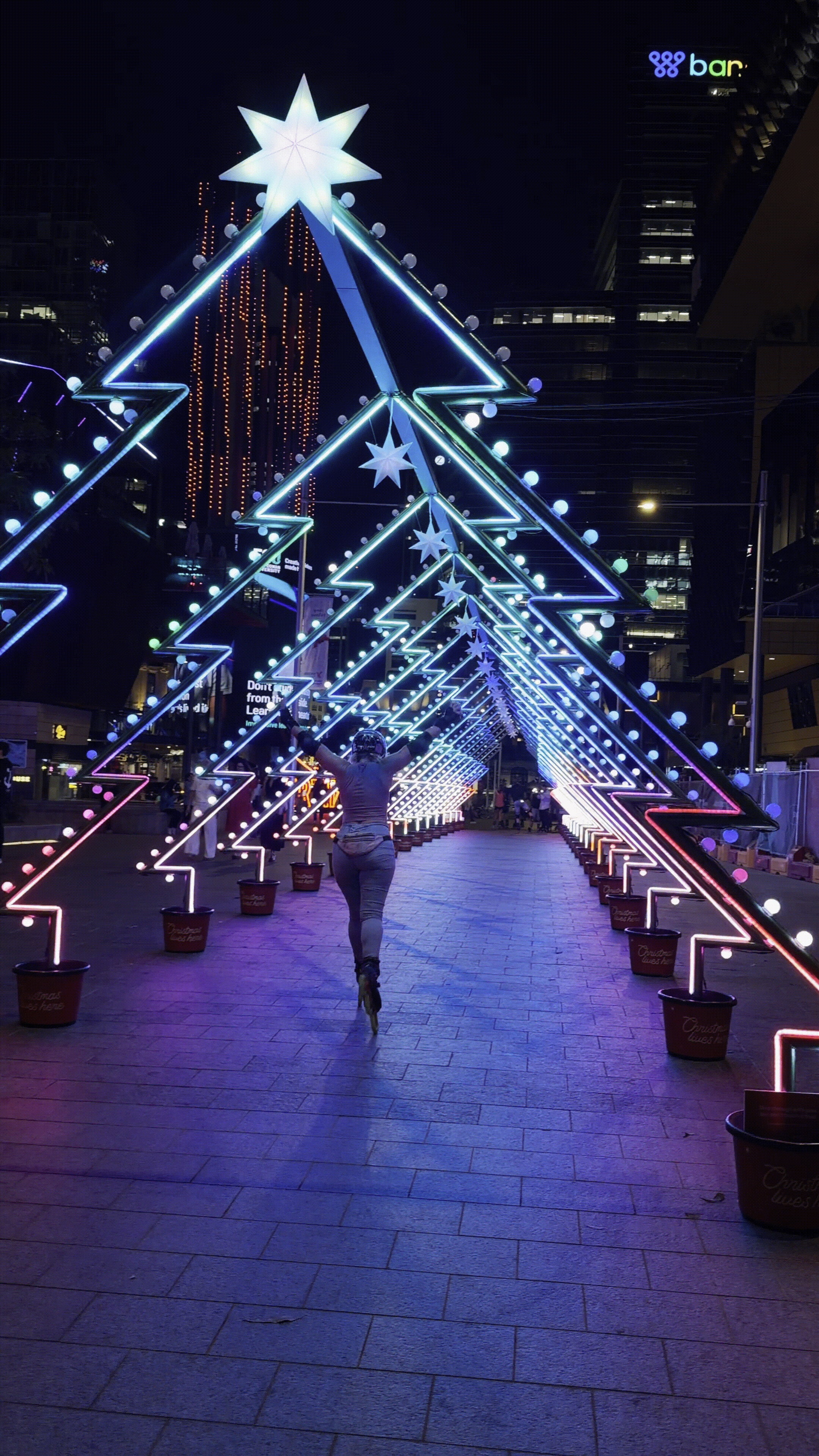 Christmas Tree Lane